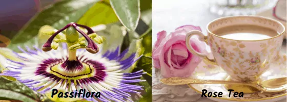 passiflora and rose tea are ingredients of seven blossoms tea