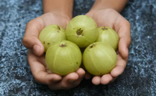 Gooseberry Fruits that start with g