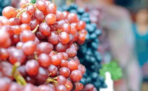 grape berry is fruit name with g letter
