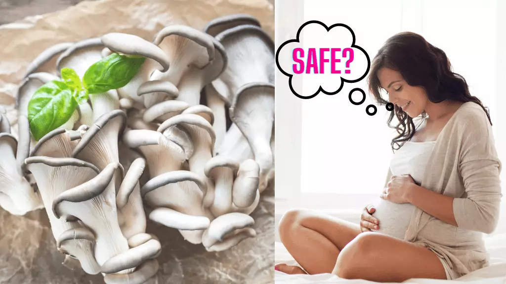 oyster mushrooms during pregnancy