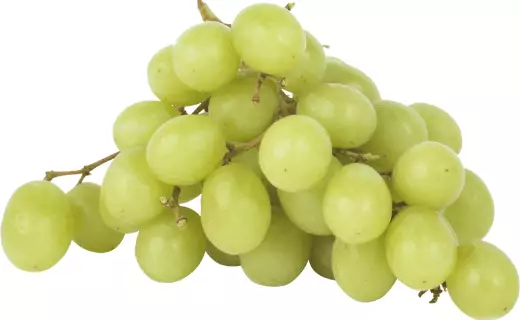 Burmese Grapes Fruits that start with b