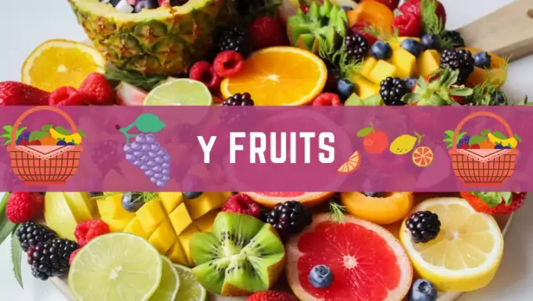 fruits that start with the letter y
