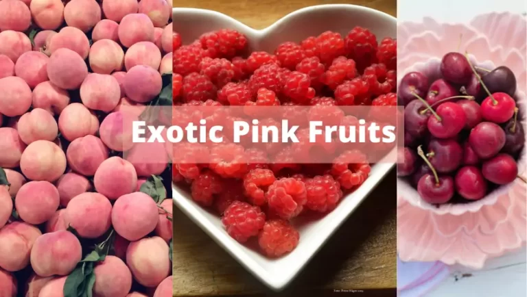 pink fruits names