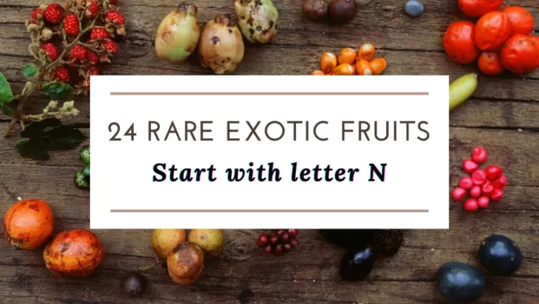 fruit that starts with n