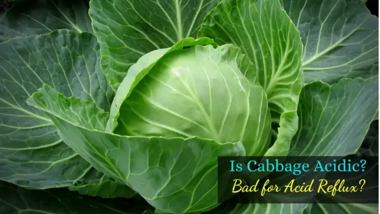 cabbage is less acidic and safe for gerd