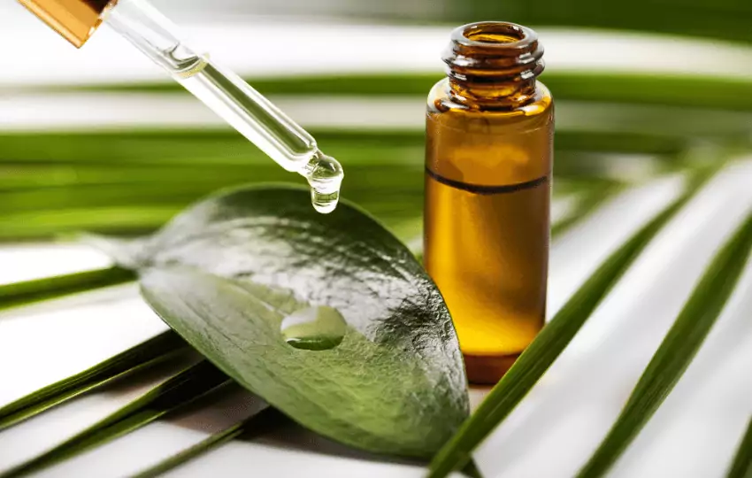 essential oil is alkaline in nature and widely used in health care